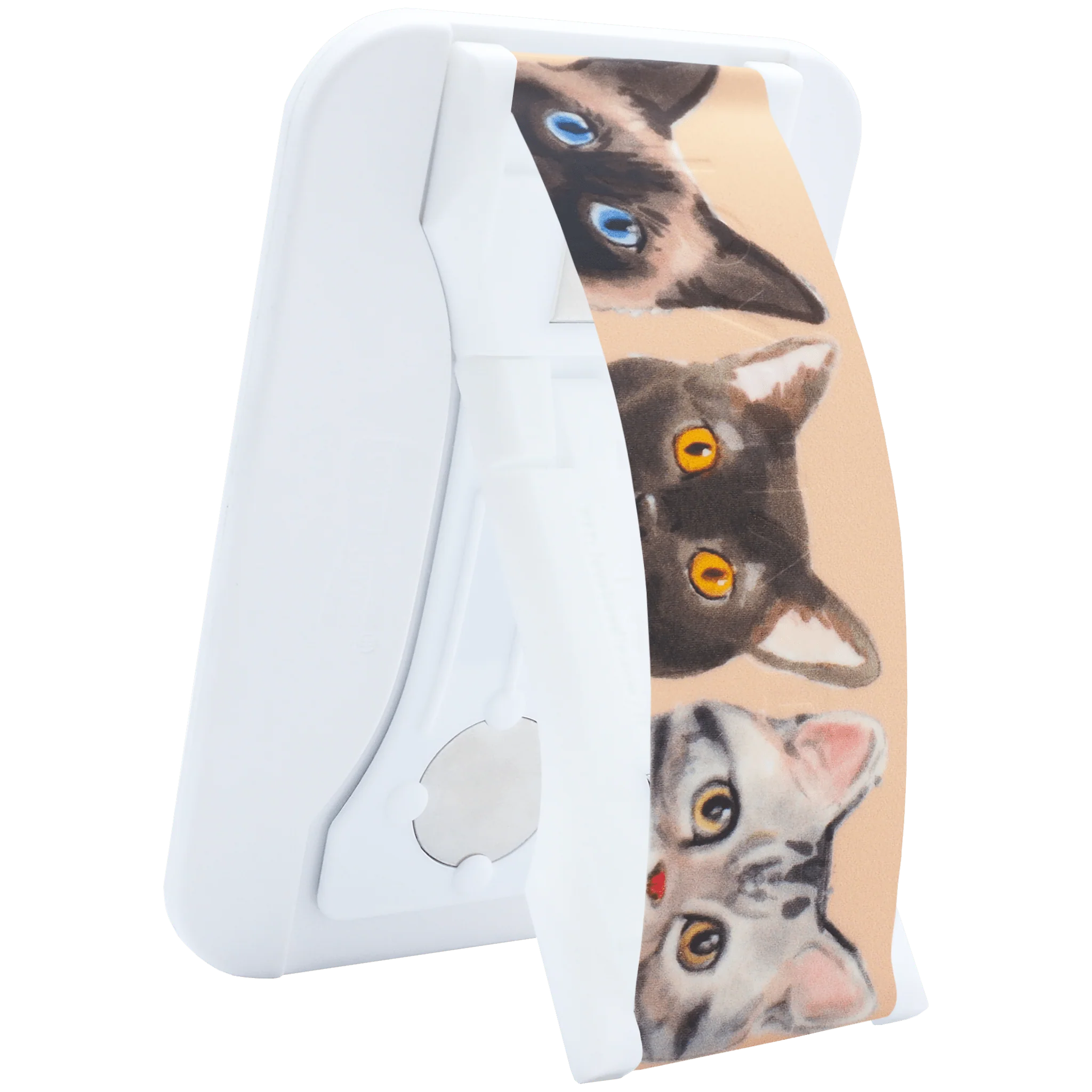 PRO for MagSafe - Curious Cats